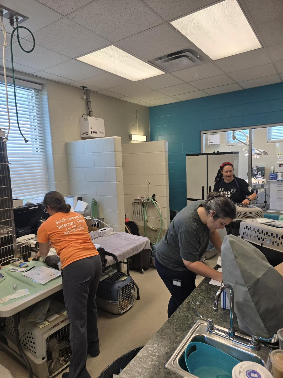Per Diem and Relief Veterinary Staffing